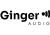 Ginger Audio Ginger