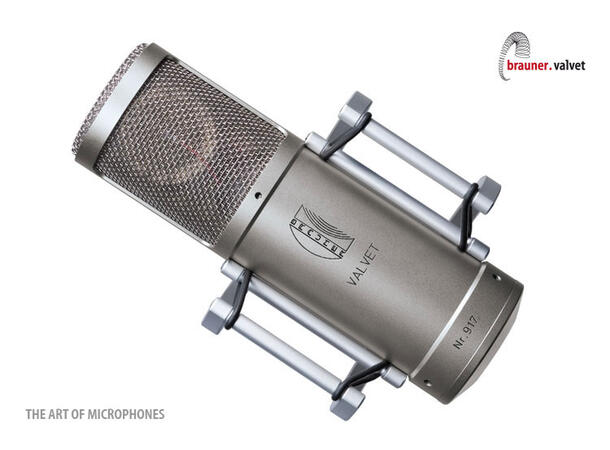 Brauner Valvet dual pattern BMS-2, alu-case, Vovox TubeLink 7,5m XLR 