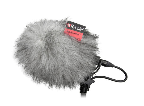 RYCOTE Windjammer BBG 