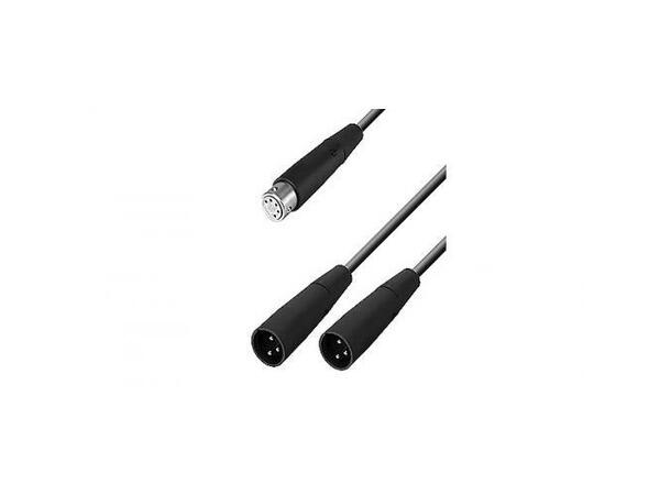 NEUMANN AC 20 Y-cable XLR-5F / 2 x XLR-3M, 1 meter 
