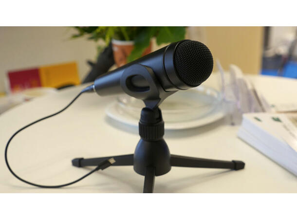 Microtech Gefell SRM 100 Mikrofon IOS Reporter mikrofon IOS 