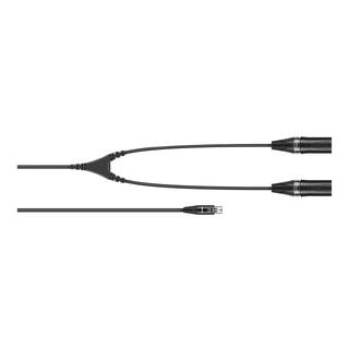 SENNHEISER CA 6042 XLR Mini-XLR-5 to 2x XLR-3