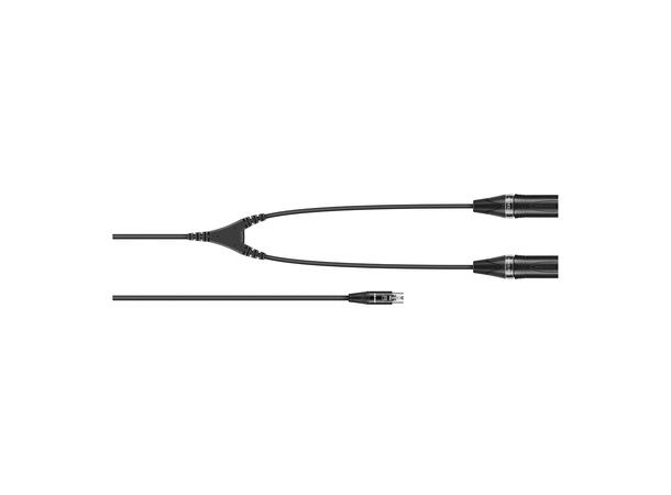 SENNHEISER CA 6042 XLR Mini-XLR-5 to 2x XLR-3