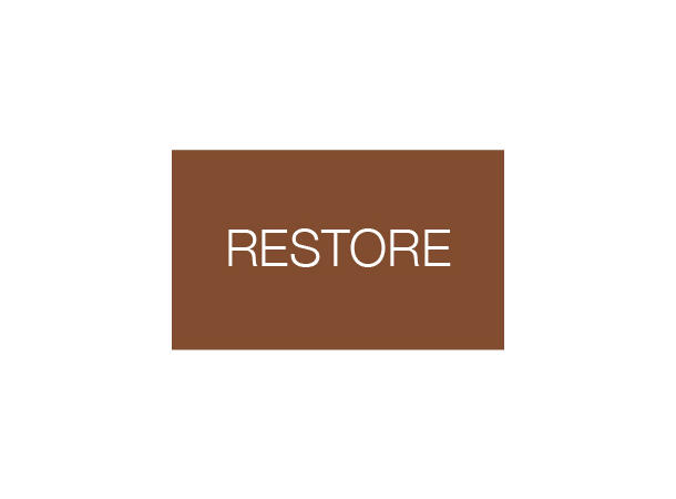 Sonnox Restore Native DeClicker,DeBuzzer,DeNoiser -Online lev.