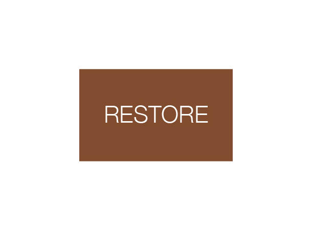 Sonnox Restore Native DeClicker,DeBuzzer,DeNoiser -Online lev. 