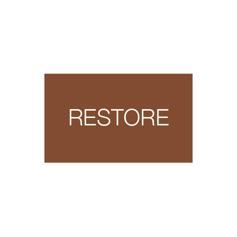 Sonnox Restore Native DeClicker,DeBuzzer,DeNoiser -Online lev.