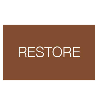 Sonnox Restore Native DeClicker,DeBuzzer,DeNoiser -Online lev.