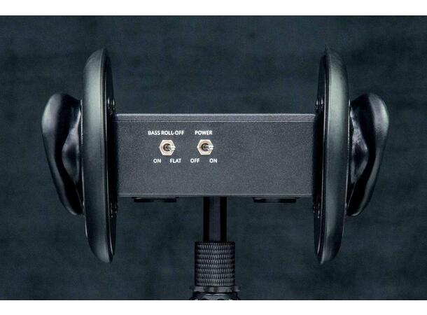 3DIO FS Pro II Binaural 