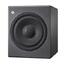 Neumann KH 750 DSP D G Active Studio Subwoofer