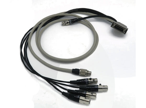 SONOSAX Cable SX-R4+ to SX-LC8+ 4 x AES IN, 3M MDR26 to  BINDER 8P, 4 x 