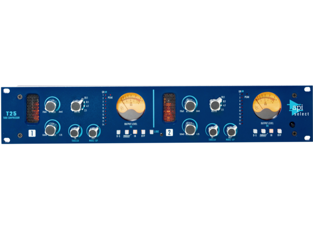 API Select T25 Compressor 2 channel 