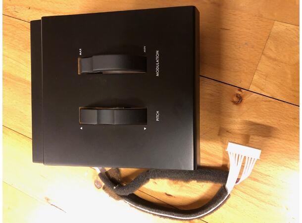 MOOG x SPARE SUB 37 pitch/mod modul 