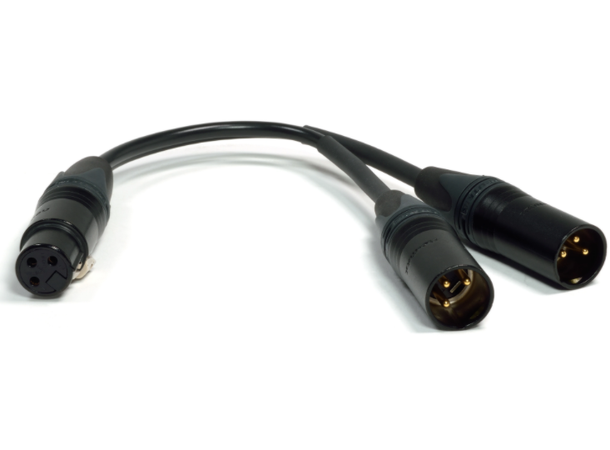 Benchmark XLRF TO 2 XLRM "Y" Cable XLRF TO 2 XLRM "Y" Analog 