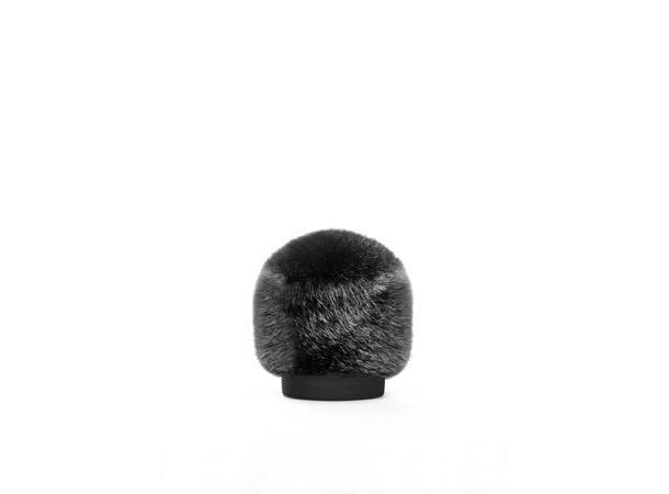Bubblebee The Windkiller - EXTRA SMALL SHORT HAIRED. Black 