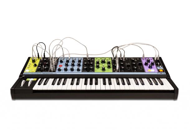 Moog Matriarch analog synthesizer Mono, duo, and 4-note paraphonic analog