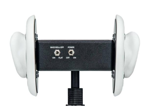 3DIO Free Space Binaural Microphone 