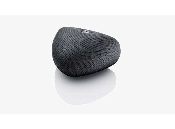 DPA 5100 Mobile 5.1 Surround Mic Plug-and-play surround sound 