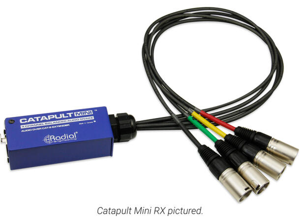 Radial Catapult Mini RX Splitt XLR-Ethercon 