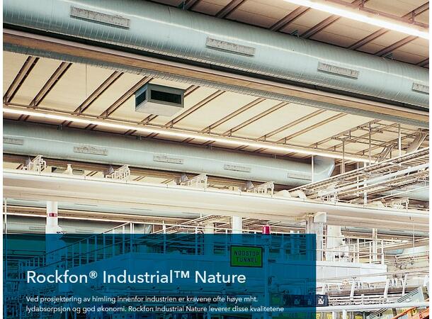 Rockfon Industrial Nature A24 -  50 120x60x5cm, kartong 8 paneler, 5,76 m2 