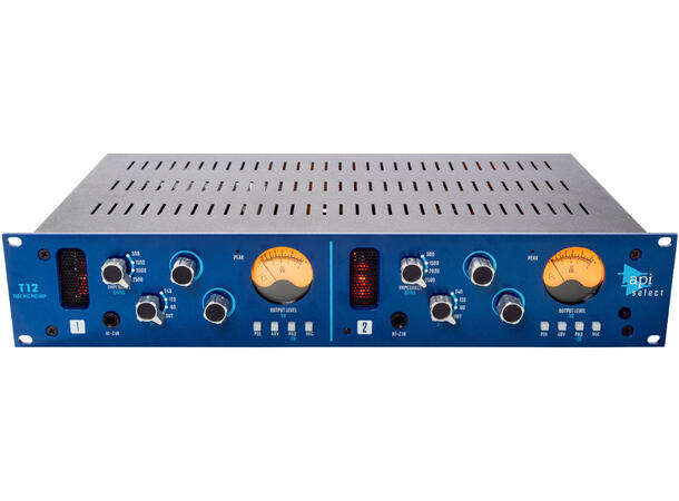 API Select T12 Micpre 2 ch tube 