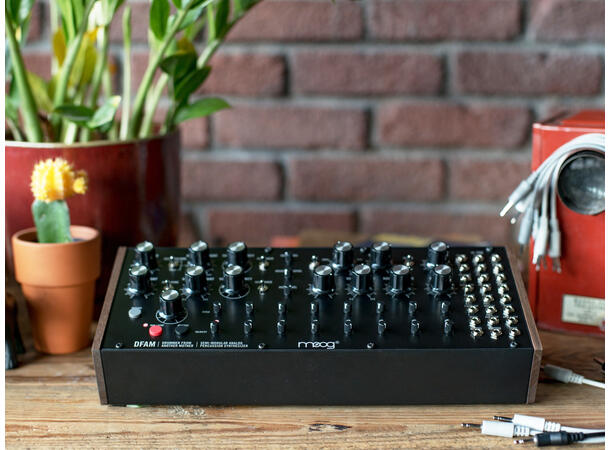 Moog DFAM Analog Percussion Synthesizer Semi-Modular Analog Percussion Synth 