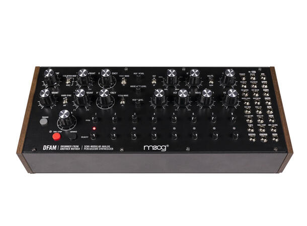 Moog DFAM Analog Percussion Synthesizer Semi-Modular Analog Percussion Synth 