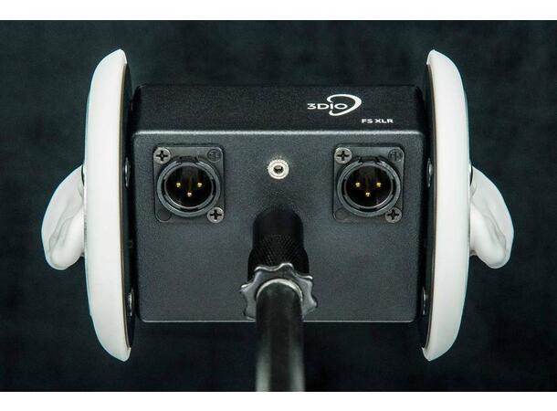 3DIO Free Space XLR Binaural Microphone 