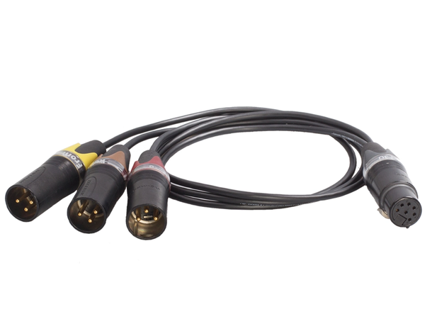 Schoeps AK DMS 3U Adapter Cable XLR7F to 3*XLR 3M
