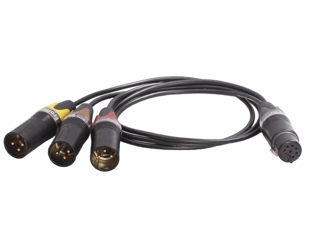 Schoeps AK DMS 3U Adapter Cable XLR7F to 3*XLR 3M 
