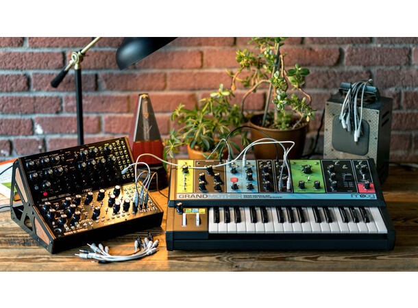 Moog Grandmother analog synthesizer semi-modular analog synthesizer
