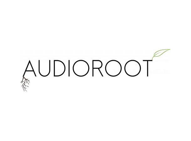 Audioroot eTA4F-XLR4M-4W BC1150 to the TRIO 