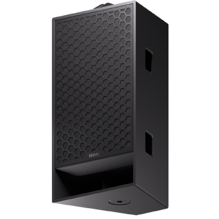 NNNN Gage 30P Premium full range loudspeaker Passive