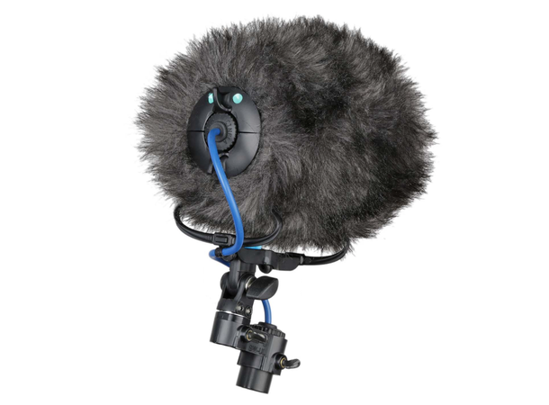 Schoeps CMC 1 MONO WINDSHIELD SET COSI CMC1U, MK 41, Cinela Cosi 