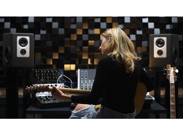 Barefoot Footprint01 Studiomonitor 3-way active monitor 45Hz–40kHz (±1dB) 