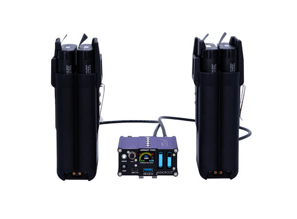 Audioroot eSMART BH2-C-X actively combined 1 x 60cm XLR4F 