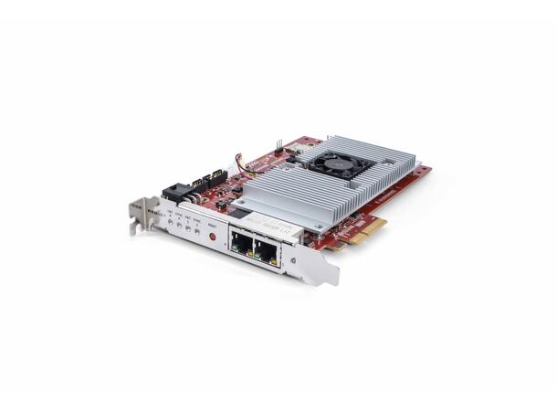 Focusrite RedNet PCIeNX lydkort 128 kanaler I/O, PCIe, Dante, AES67 