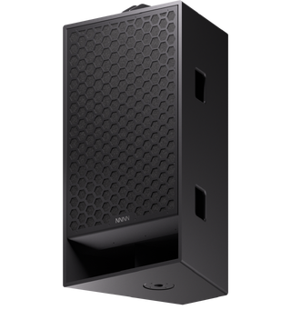 NNNN Gage 30 A Premium full range loudspeaker