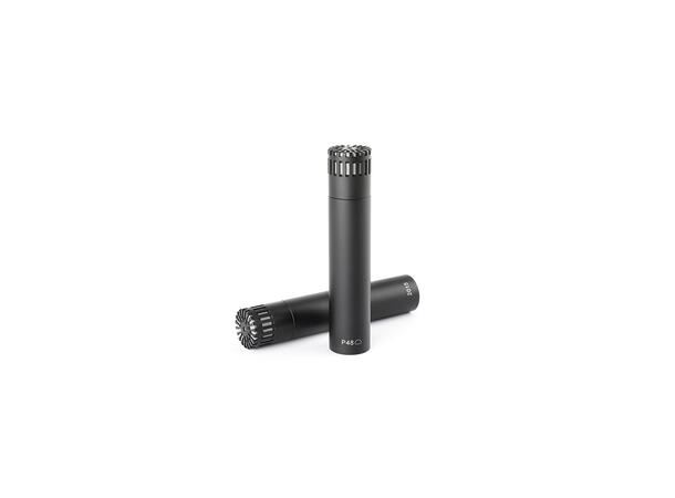 DPA 2015 Stereo Pair with Holders and Windscreens 
