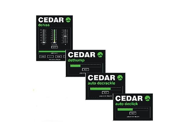 Merging Cedar Render Bundle for Pyramix Declick,Decrackle,Dehiss,Dethump