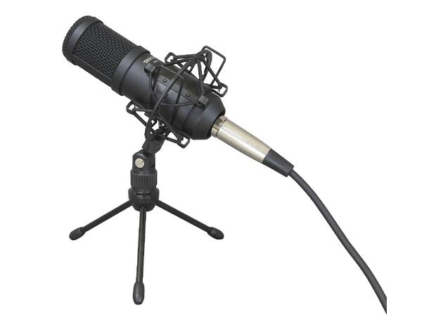 TASCAM TM-70 Dynamic Microphone for Podcasting and News Gathering 