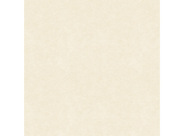 Artnovion Flat Tox RCT - Absorbent Ivory Lyst panel - Pakke 4 stk - 120x60x6 cm 