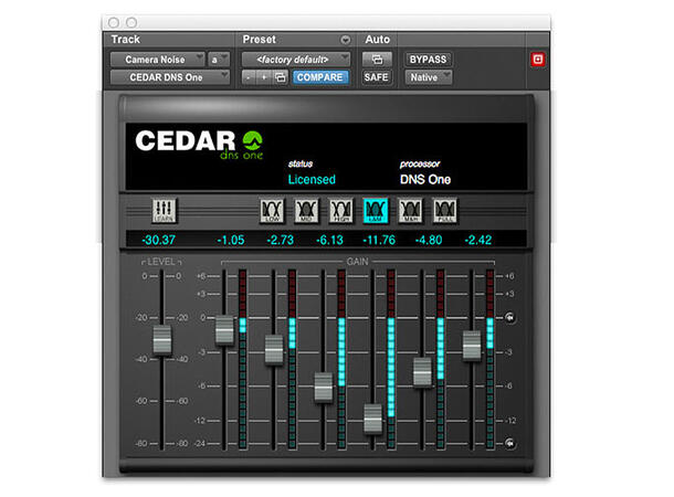 CEDAR DNS One and DNS Two Software Background noise suppression