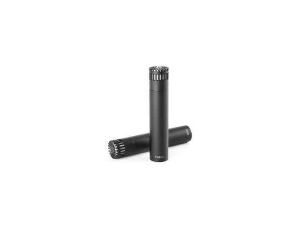 DPA 2012 Stereo Pair with Holders and Windscreens 