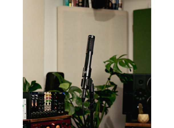 AEA N28 Stereo båndmikrofon Nuvo-serien båndmikrofon 