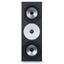 Amphion Two18X Passive nearfield monitor
