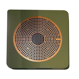NNNN Comium 30 P speaker Custom Passive speaker Custom Color