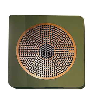 NNNN Comium 30 P speaker Custom Passive speaker Custom Color