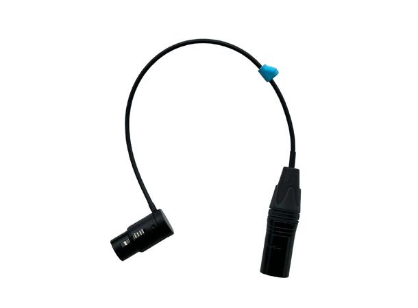 Radius Mini-ALTO Low Profile 5-Pin Stereo XLR Cable (260mm) 