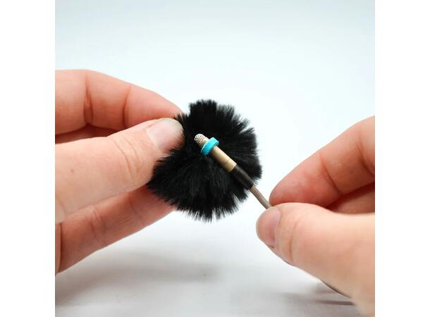Radius Mini Lav Urchin Windshields Pair pack (velg farge) 