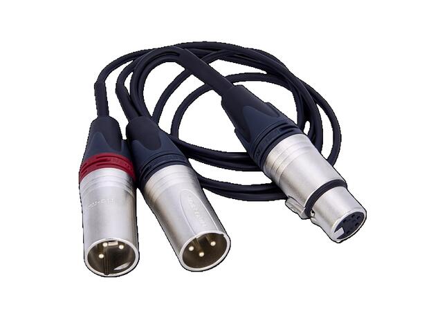 Audioroot XLR5F to (2) XLR3M 5 meter 